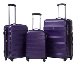 Travelhouse-ABS-Hard-shell-4-wheel-Travel-Trolley-Suitcase-Luggage-set-Holdall-Case-Cablin-0