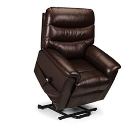 Julian-Bowen-Armchair-Leather-Brown-89-x-93-x-107-cm-0-2