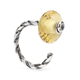 Trollbeads-Silver-925-Twisted-Ring-of-Change-0-3