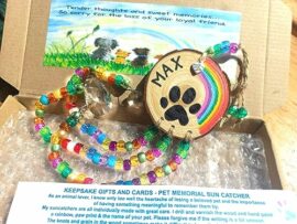 Personalised-Pet-Loss-Memorial-Rainbow-Bridge-Catcher-of-Sun-Rays-Hand-painted-Sympathy-Gift-Cat-Dog-Memory-0-1