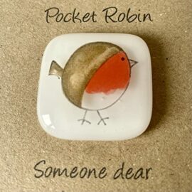 Pocket-Robin-0-1