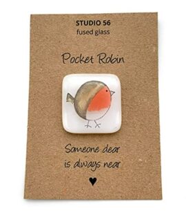 Pocket-Robin-0